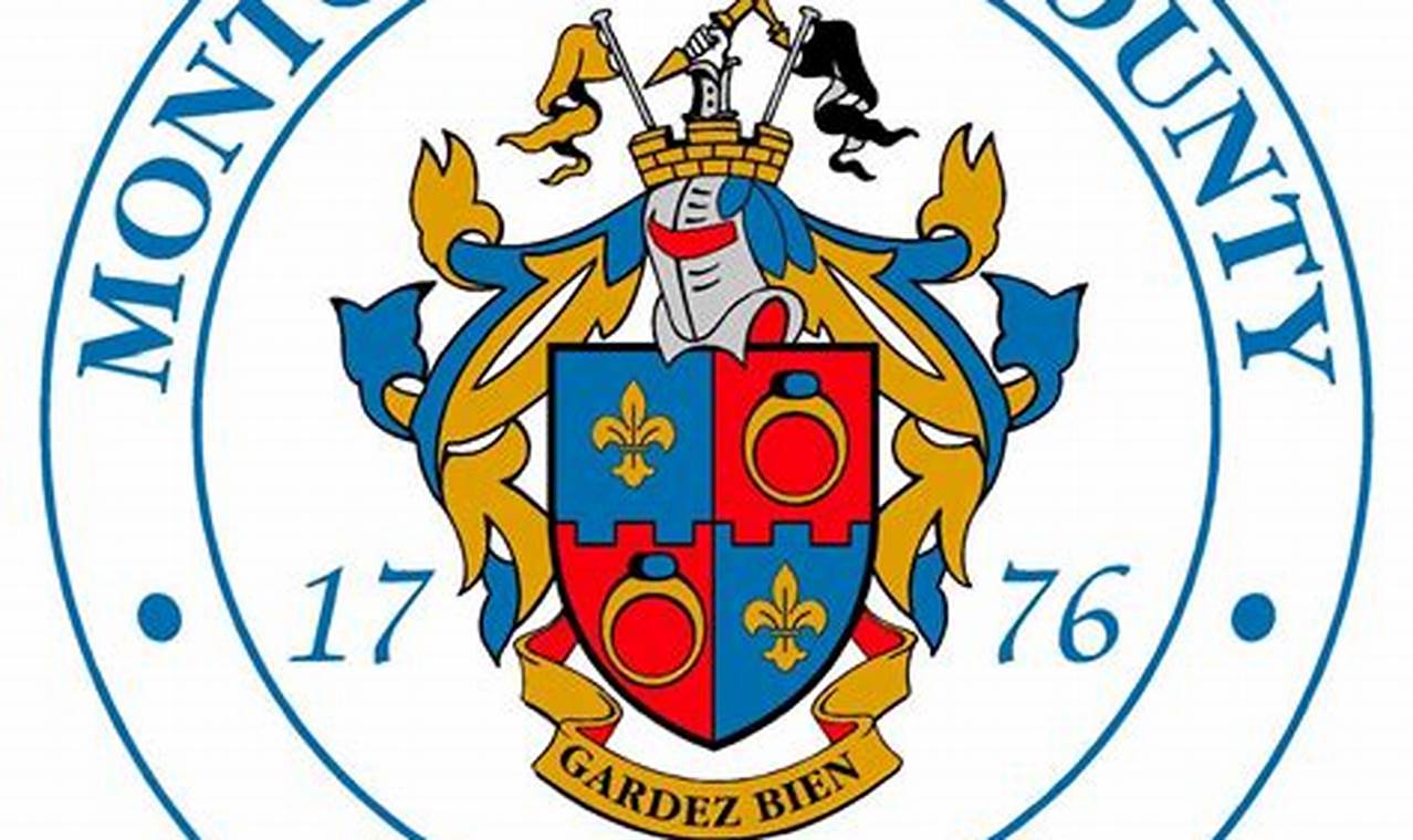 Top Dog Day Care in Montgomery County, MD My Caring Dog – Tips, Stories, and Care Guides for Loving Pet Owners Top Dog Day Care in Montgomery County, MD | My Caring Dog – Tips, Stories, and Care Guides for Loving Pet Owners