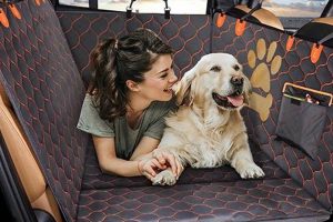Best Wirecutter Dog Car Seat Covers: Top Picks My Caring Dog – Tips, Stories, and Care Guides for Loving Pet Owners Best Wirecutter Dog Car Seat Covers: Top Picks | My Caring Dog – Tips, Stories, and Care Guides for Loving Pet Owners