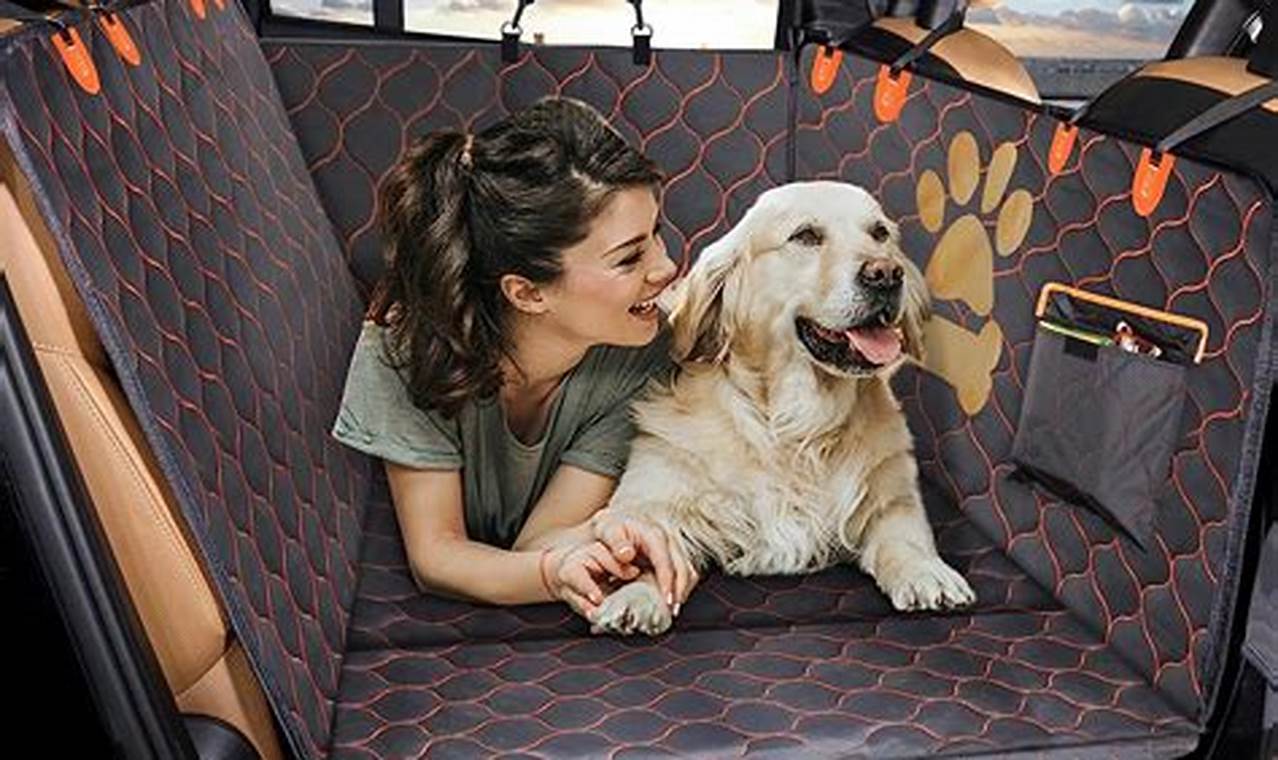 Best Wirecutter Dog Car Seat Covers: Top Picks My Caring Dog – Tips, Stories, and Care Guides for Loving Pet Owners Best Wirecutter Dog Car Seat Covers: Top Picks | My Caring Dog – Tips, Stories, and Care Guides for Loving Pet Owners