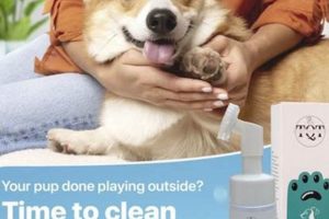Dog Foot Pad Care | My Caring Dog – Tips, Stories, and Care Guides for Loving Pet Owners