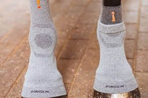 Ultimate Incredible Wear for Car Dogs | My Caring Dog – Tips, Stories, and Care Guides for Loving Pet Owners