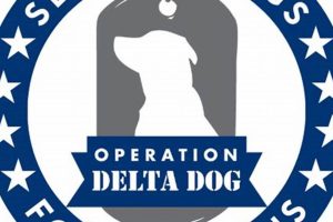 Best Service Dog Nonprofits & Organizations | My Caring Dog – Tips, Stories, and Care Guides for Loving Pet Owners