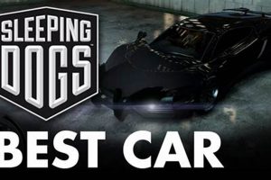 Sleeping Dogs Best Car | My Caring Dog – Tips, Stories, and Care Guides for Loving Pet Owners