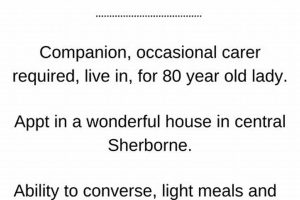 Seeking Live-In Companion for Car Dog Adventures My Caring Dog – Tips, Stories, and Care Guides for Loving Pet Owners Seeking Live-In Companion for Car Dog Adventures | My Caring Dog – Tips, Stories, and Care Guides for Loving Pet Owners