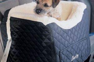 Best Dog Car Seat For Car Sickness My Caring Dog – Tips, Stories, and Care Guides for Loving Pet Owners Best Dog Car Seat For Car Sickness | My Caring Dog – Tips, Stories, and Care Guides for Loving Pet Owners