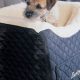 Best Dog Car Seat For Car Sickness | My Caring Dog – Tips, Stories, and Care Guides for Loving Pet Owners