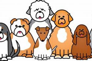 Best Dog Day Care in Conshohocken, PA | Top Kennels | My Caring Dog – Tips, Stories, and Care Guides for Loving Pet Owners