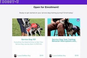 Best Free Online Service Dog Training Courses 2024 | My Caring Dog – Tips, Stories, and Care Guides for Loving Pet Owners