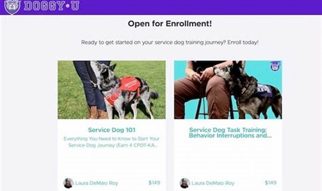 Best Free Online Service Dog Training Courses 2024 | My Caring Dog – Tips, Stories, and Care Guides for Loving Pet Owners