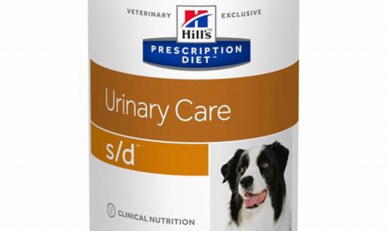 Best Hill's Science Diet Urinary Care Dog Food | My Caring Dog – Tips, Stories, and Care Guides for Loving Pet Owners