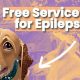 Free Service Dogs for Epilepsy: A Complete Guide | My Caring Dog – Tips, Stories, and Care Guides for Loving Pet Owners