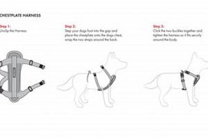 Best Hi Craft Dog Car Harness Instructions & Guide My Caring Dog – Tips, Stories, and Care Guides for Loving Pet Owners Best Hi Craft Dog Car Harness Instructions & Guide | My Caring Dog – Tips, Stories, and Care Guides for Loving Pet Owners
