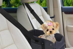Best Booster Seats for Dogs in Cars My Caring Dog – Tips, Stories, and Care Guides for Loving Pet Owners Best Booster Seats for Dogs in Cars | My Caring Dog – Tips, Stories, and Care Guides for Loving Pet Owners