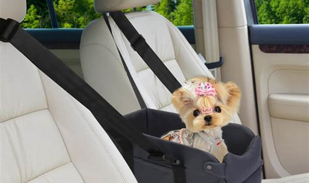 Best Booster Seats for Dogs in Cars My Caring Dog – Tips, Stories, and Care Guides for Loving Pet Owners Best Booster Seats for Dogs in Cars | My Caring Dog – Tips, Stories, and Care Guides for Loving Pet Owners