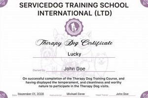 Service Dog Training International | My Caring Dog – Tips, Stories, and Care Guides for Loving Pet Owners