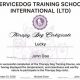 Service Dog Training International | My Caring Dog – Tips, Stories, and Care Guides for Loving Pet Owners