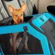Top 5 Best Dog Carriers for Car Travel in 2024 | My Caring Dog – Tips, Stories, and Care Guides for Loving Pet Owners