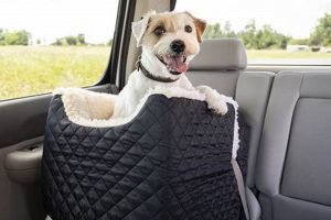 Best Dog Lookout Car Seats: Safe & Happy Travels | My Caring Dog – Tips, Stories, and Care Guides for Loving Pet Owners