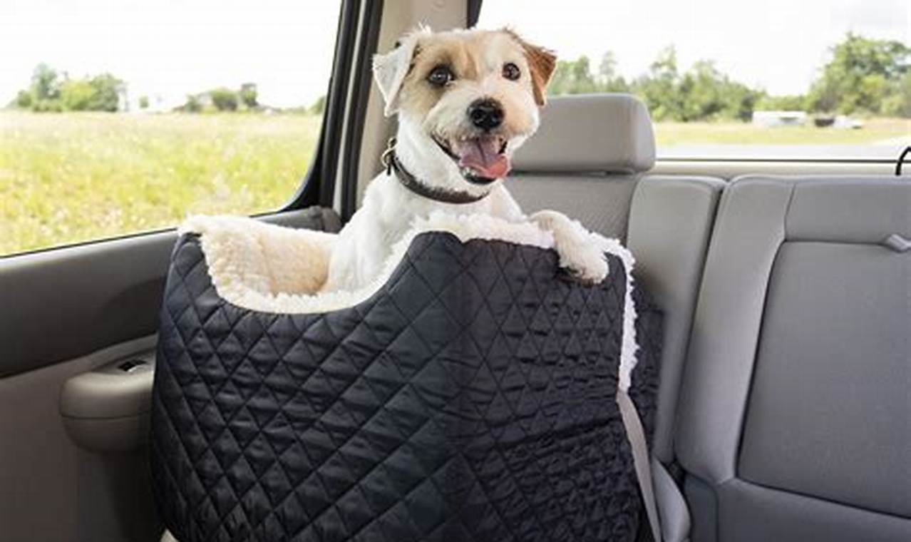 Best Dog Lookout Car Seats: Safe & Happy Travels | My Caring Dog – Tips, Stories, and Care Guides for Loving Pet Owners