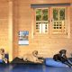 Best Dog Day Care in Surrey | Top Kennels | My Caring Dog – Tips, Stories, and Care Guides for Loving Pet Owners