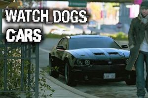 Watch Dogs Cars My Caring Dog – Tips, Stories, and Care Guides for Loving Pet Owners Watch Dogs Cars | My Caring Dog – Tips, Stories, and Care Guides for Loving Pet Owners