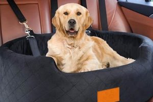 Best Medium Size Dog Car Seats: Safe & Comfy | My Caring Dog – Tips, Stories, and Care Guides for Loving Pet Owners