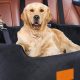 Best Medium Size Dog Car Seats: Safe & Comfy | My Caring Dog – Tips, Stories, and Care Guides for Loving Pet Owners