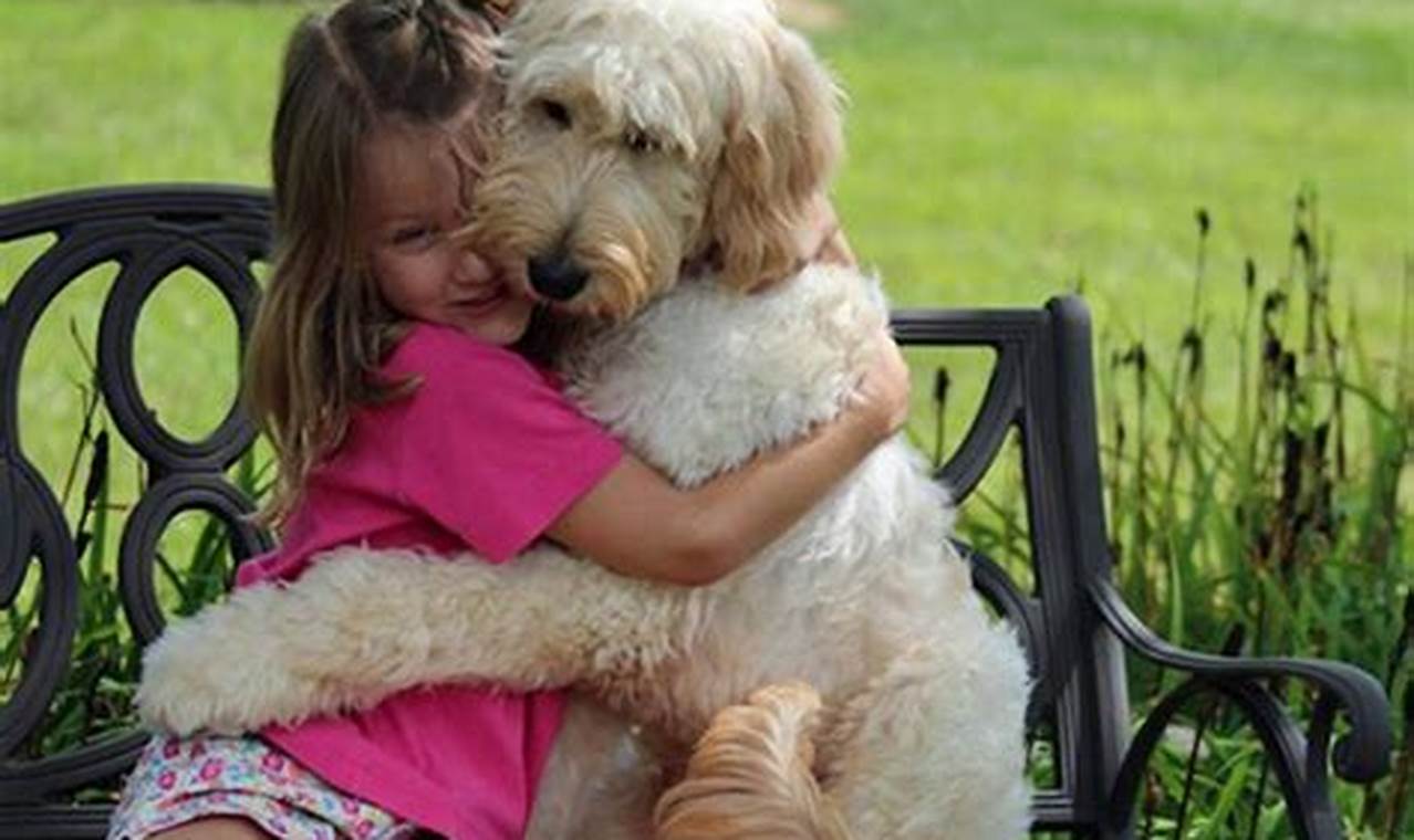 The Ultimate Guide to Dog Companionship in Cars | My Caring Dog – Tips, Stories, and Care Guides for Loving Pet Owners