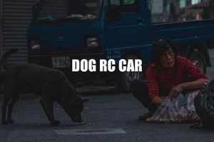Dog And Rc Car | My Caring Dog – Tips, Stories, and Care Guides for Loving Pet Owners