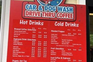 Best Moon Flight Coffee, Car & Dog Wash | My Caring Dog – Tips, Stories, and Care Guides for Loving Pet Owners