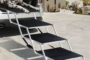 Understanding the Dog Leg in Car Frames | My Caring Dog – Tips, Stories, and Care Guides for Loving Pet Owners