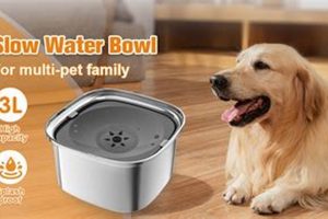 Best Dog Water Bowl for Car Travel &amp; Road Trips | My Caring Dog – Tips, Stories, and Care Guides for Loving Pet Owners