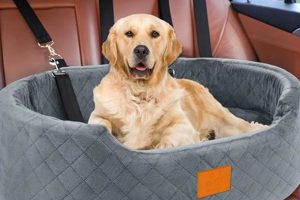 Best Dog Beds for Car Seats: Safe & Comfy | My Caring Dog – Tips, Stories, and Care Guides for Loving Pet Owners