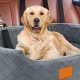 Best Dog Beds for Car Seats: Safe & Comfy | My Caring Dog – Tips, Stories, and Care Guides for Loving Pet Owners