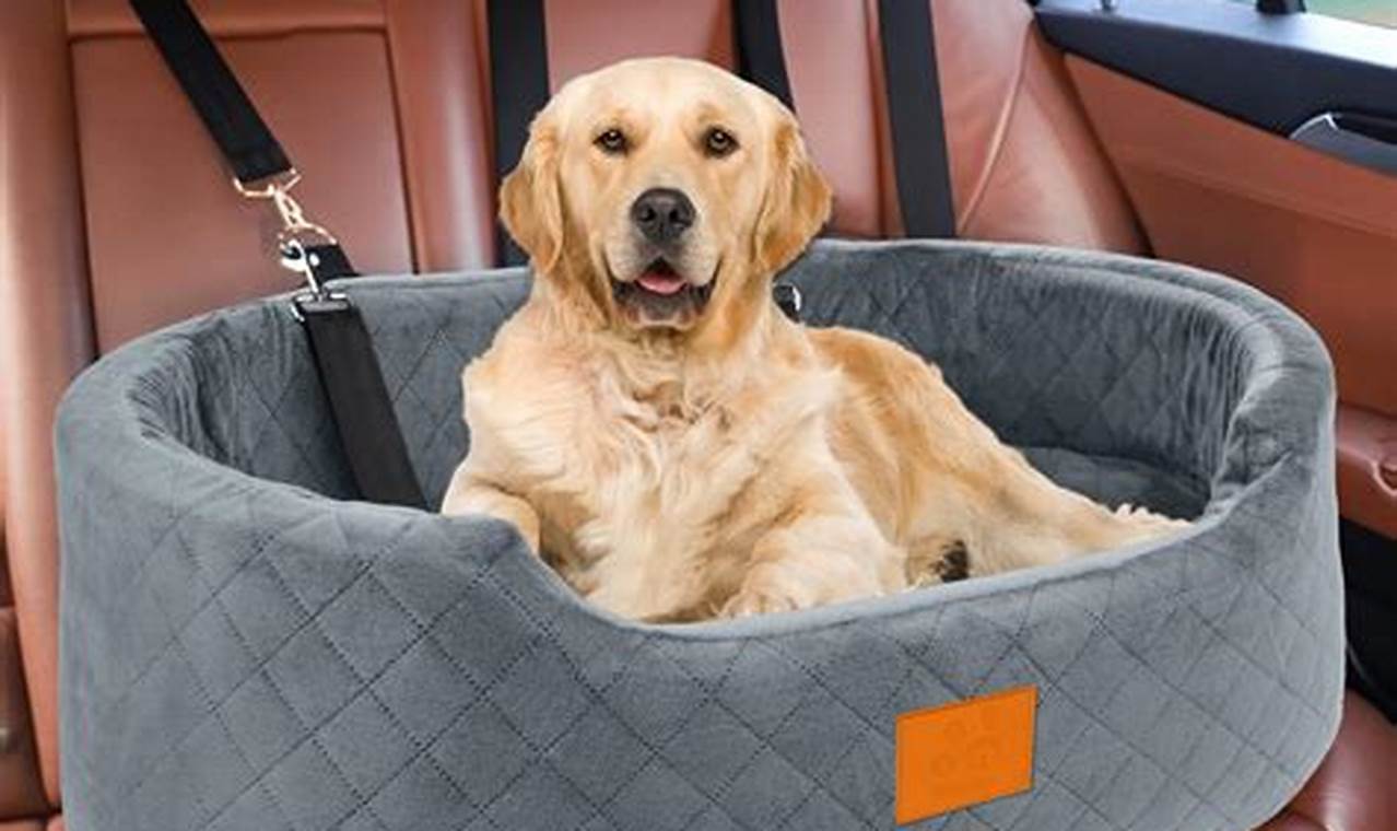 Best Dog Beds for Car Seats: Safe & Comfy | My Caring Dog – Tips, Stories, and Care Guides for Loving Pet Owners