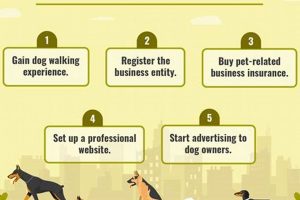 Top Car Dog Business Tips & Tricks | My Caring Dog – Tips, Stories, and Care Guides for Loving Pet Owners