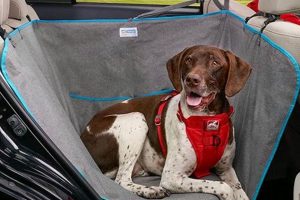 Best Dog Hammock Car Seats for Safe Travels | My Caring Dog – Tips, Stories, and Care Guides for Loving Pet Owners