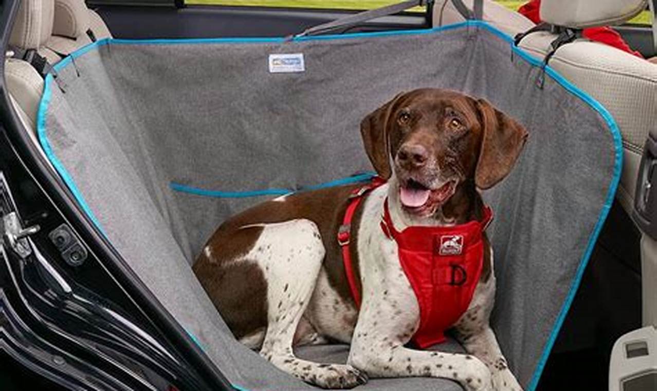 Best Dog Hammock Car Seats for Safe Travels | My Caring Dog – Tips, Stories, and Care Guides for Loving Pet Owners