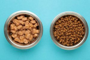 Don't Leave Dry Dog Food in a Hot Car! Danger! My Caring Dog – Tips, Stories, and Care Guides for Loving Pet Owners Don't Leave Dry Dog Food in a Hot Car! Danger! | My Caring Dog – Tips, Stories, and Care Guides for Loving Pet Owners