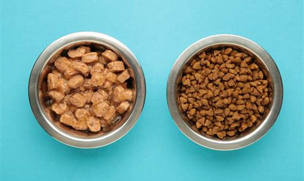 Don't Leave Dry Dog Food in a Hot Car! Danger! My Caring Dog – Tips, Stories, and Care Guides for Loving Pet Owners Don't Leave Dry Dog Food in a Hot Car! Danger! | My Caring Dog – Tips, Stories, and Care Guides for Loving Pet Owners