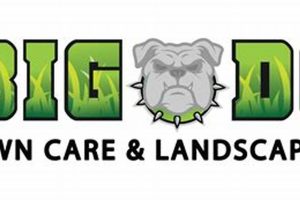 Top Big Dog Lawn Care Services & More My Caring Dog – Tips, Stories, and Care Guides for Loving Pet Owners Top Big Dog Lawn Care Services & More | My Caring Dog – Tips, Stories, and Care Guides for Loving Pet Owners
