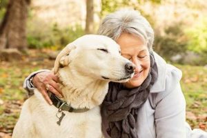 The Ultimate Guide to Senior Dog Care Tips My Caring Dog – Tips, Stories, and Care Guides for Loving Pet Owners The Ultimate Guide to Senior Dog Care Tips | My Caring Dog – Tips, Stories, and Care Guides for Loving Pet Owners