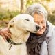 The Ultimate Guide to Senior Dog Care Tips | My Caring Dog – Tips, Stories, and Care Guides for Loving Pet Owners