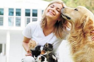 The Joys of Pet Dog Companionship: A Guide My Caring Dog – Tips, Stories, and Care Guides for Loving Pet Owners The Joys of Pet Dog Companionship: A Guide | My Caring Dog – Tips, Stories, and Care Guides for Loving Pet Owners