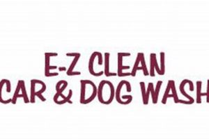 Best Ez Clean Car &amp; Dog Wash Near You | My Caring Dog – Tips, Stories, and Care Guides for Loving Pet Owners