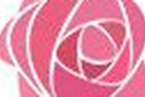 Road Trip Bliss: Joyful Canine Companions | My Caring Dog – Tips, Stories, and Care Guides for Loving Pet Owners