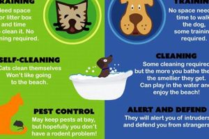 Dog vs. Cat Care: Which Is Easier? | My Caring Dog – Tips, Stories, and Care Guides for Loving Pet Owners