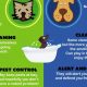 Dog vs. Cat Care: Which Is Easier? | My Caring Dog – Tips, Stories, and Care Guides for Loving Pet Owners