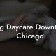 Ultimate Dog Care Guide: Chicago | My Caring Dog – Tips, Stories, and Care Guides for Loving Pet Owners