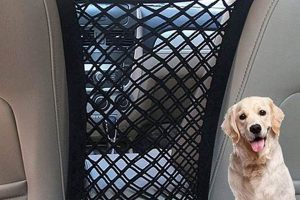 Best Dog Netting for Car Safety & Travel | My Caring Dog – Tips, Stories, and Care Guides for Loving Pet Owners
